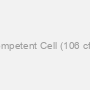 Chemically Competent Cell (106 cfu / mu g DNA)